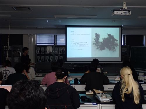 学生発表