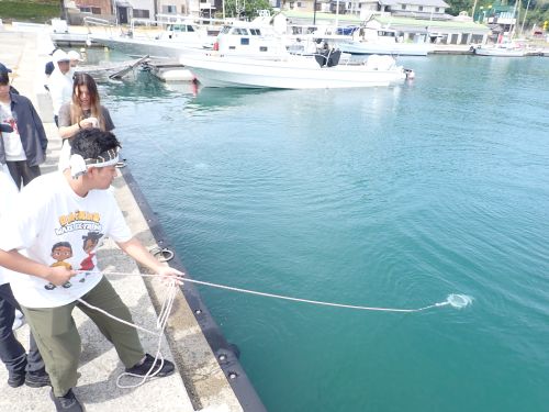 プランクトンネットによる微細藻採集