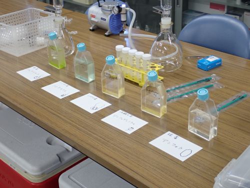 光合成色素の抽出に用いた微細藻