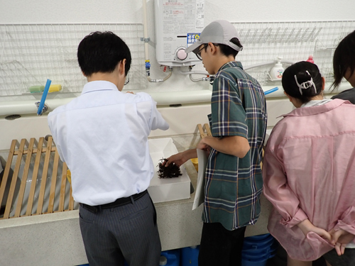 押し葉標本の作製