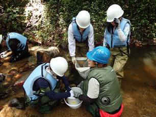 楠本川にて底生動物採集