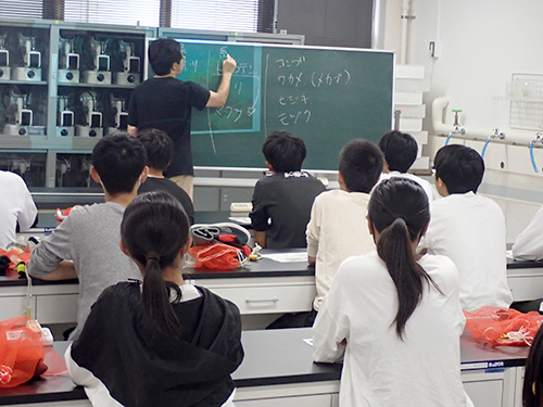 海藻についての講義