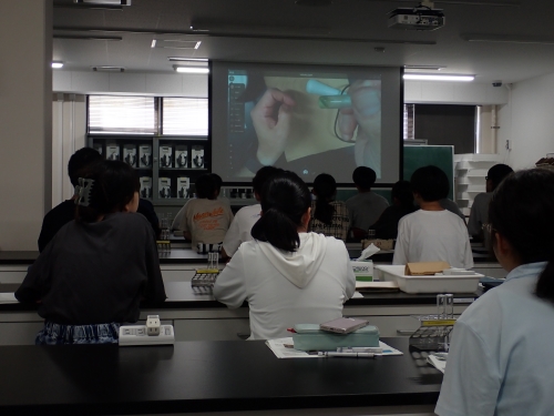 光合成色素についての講義