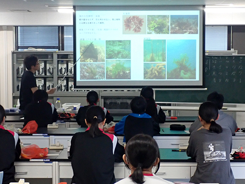 海藻についての講義