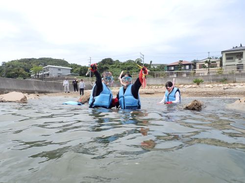 海藻採集