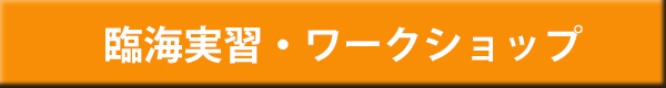 臨海実習・ワークショップ