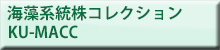 海藻類系統株コレクション