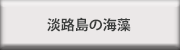 淡路島の海藻