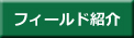 フィールド紹介