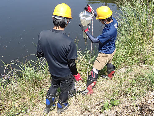 Open Marine Field Course B "Biocoenosis and Ecology in Freshwater and Estuaries"