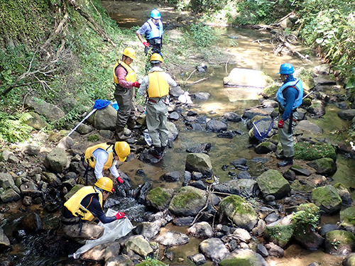 Open Marine Field Course B "Biocoenosis and Ecology in Freshwater and Estuaries"