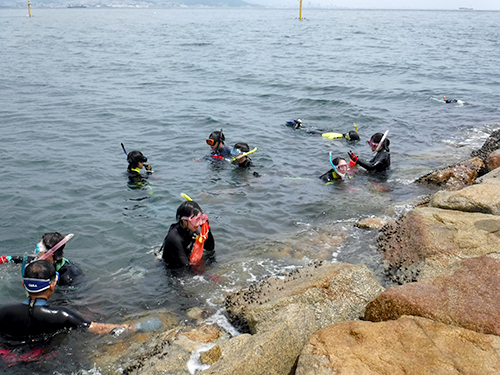 Open Marine Field Course A "Biology of Marine Algae"