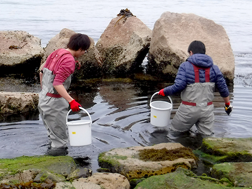 Open Marine Field Course D "Coastal Environments in Inland Seas"