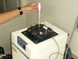 Workshop on Macroalgal Culturing Techniques