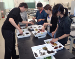 Workshop on Monitoring of Seaweed Beds