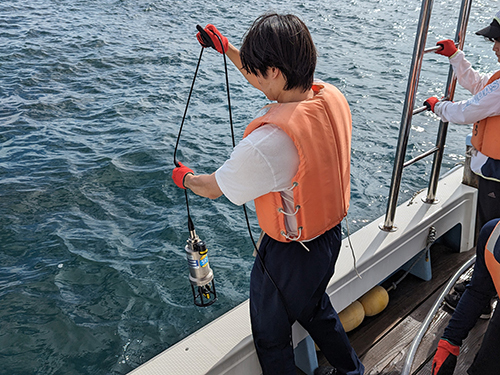 全国公開臨海実習Aコース（海産藻類の生物学）