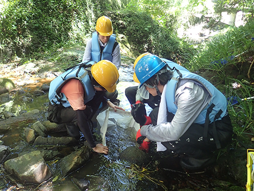 全国公開臨海実習Bコース（淡水域-河口域の生物群集と生態）