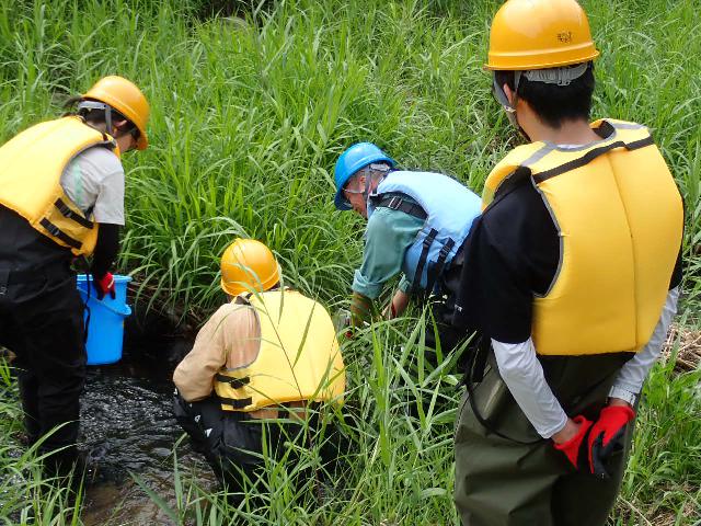 淡路島楠本川（中流サイト）における水質調査と水生動物採集