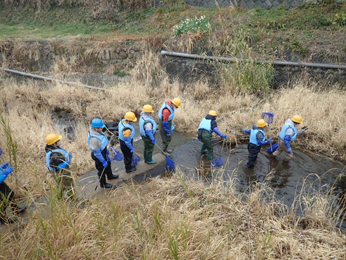 水生動物の採集