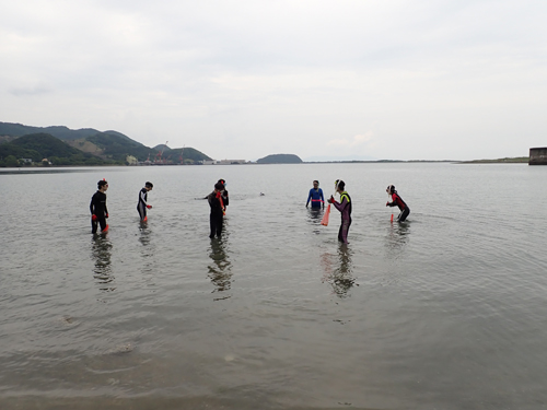 スノーケリングによる海藻採集