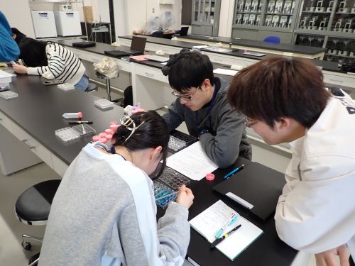 バイオアッセイ実験