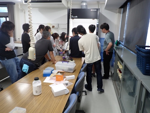 カラムクロマトグラフィーによる光合成色素の分析