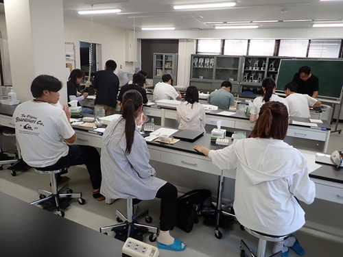 薄層クロマトグラフィーによる光合成色素の分析