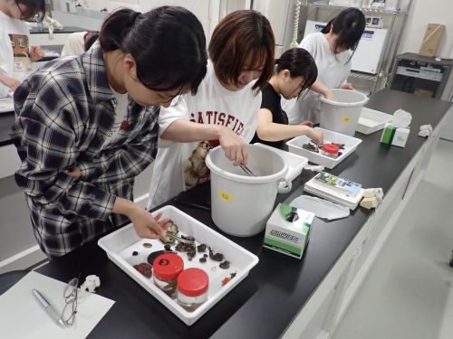 動物の観察と種同定