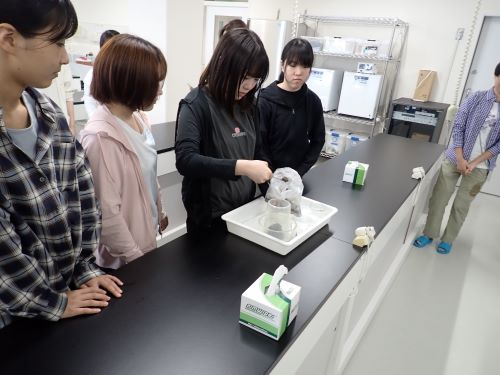 砂泥からのベントスの回収