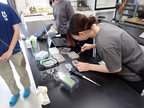 巻貝の行動観察